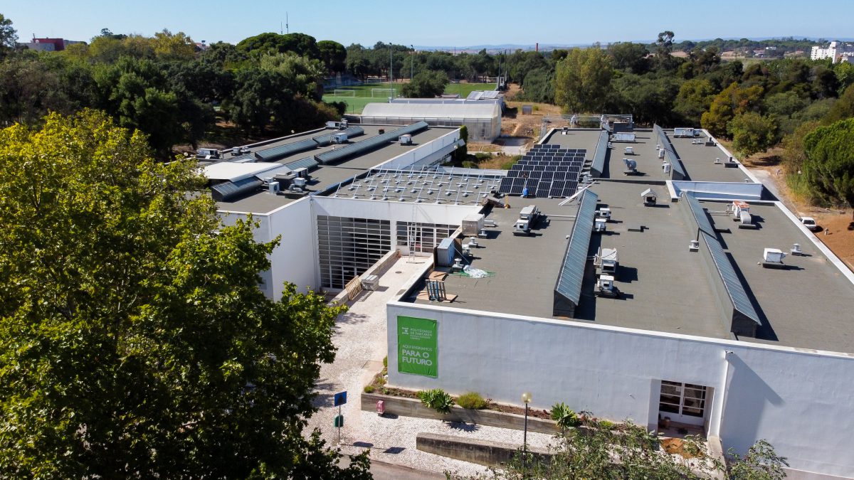 Instituto Politécnico de Santarém vai ter doutoramento em